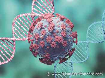 Assam coronavirus update: 2,375 new Covid cases, 28 more deaths registered - Business Standard