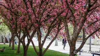 Everything you need to know about COVID-19 in Alberta on Saturday, July 3