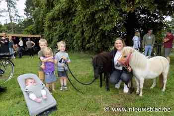 Carli laat kinderen met pony’s gieren van plezier