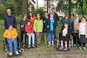 Bewoners De Vlotter maken kabouterdorpjes: “Heel trots op de bolletjes wol in het mandje” - Het Nieuwsblad