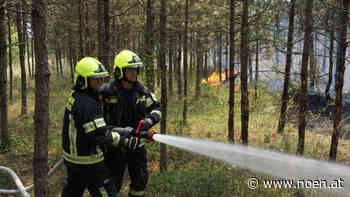 Waldbrand - Bezirk Neunkirchen: Löschhubschrauber im Einsatz - NÖN.at