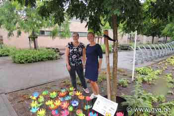 Een geknutselde bloem plukken voor een mantelzorger (Wuustwezel) - Gazet van Antwerpen Mobile - Gazet van Antwerpen