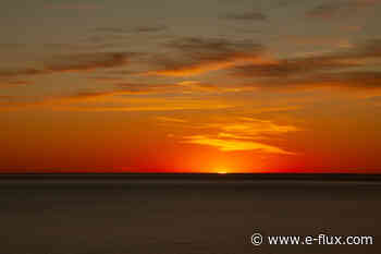 Editorial—The Wildness in our Bones - Architecture - E-Flux