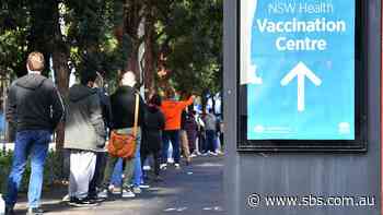 NSW in critical phase of lockdown as coronavirus epicentre shifts from Sydney's east to west - SBS News