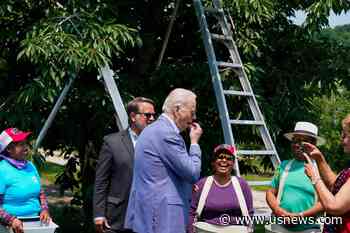 Biden Goes in for Cherries on Campaign-Style Michigan Trip