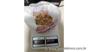 Imbituba: Homem é preso com droga sintética MDMA dentro do automóvel; quantidade daria para produzir até 1 mil comprimidos de ecstasy - Portal AHora