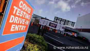 Covid 19 coronavirus: More than half of sick people not getting tested - survey - New Zealand Herald