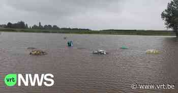 Ook betonnen helmen in Halen gaan kopje onder - VRT NWS