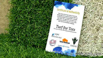 Turf from Bills field house is being sold: proceeds go to Roswell Park