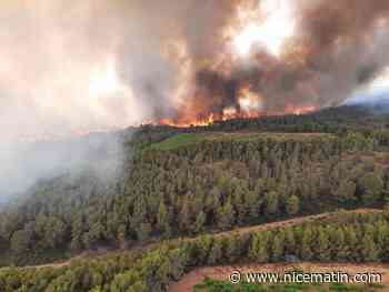 250 hectares détruits, des dizaines d'évacuations... Le point sur l'énorme feu de forêt près de Narbonne