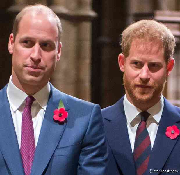 William and Harry – brothers at odds