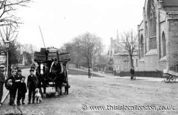 Boys and pet dog pictured in sleepy Essex High Street in 1900