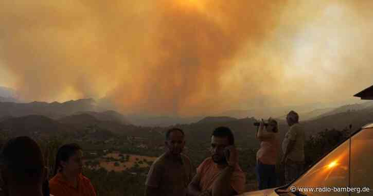 Vier Tote bei Waldbrand auf Zypern