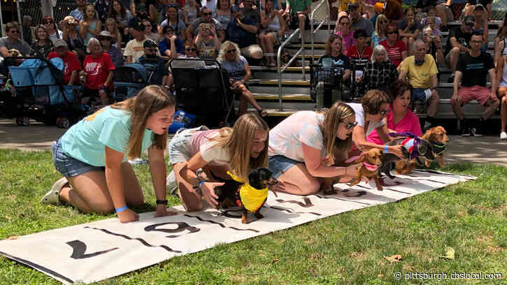 Wiener 100 Dachshund Race Returns To Kennywood Park
