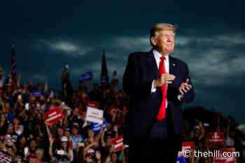 Trump slams indictment against organization at Florida rally