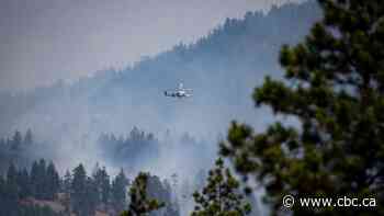 BC Coroners Service confirms 2 deaths in Lytton wildfire