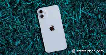 iPhone 12 photography tips: How to take your best ever images on your phone     - CNET