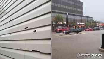 Calgary picks up the pieces after week of extreme heat, flooding - CBC.ca