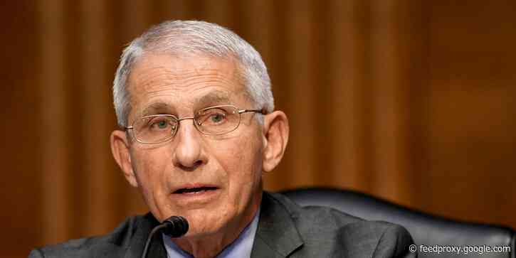 Fauci says the 'disparity in the willingness to be vaccinated' could lead to Delta variant spikes