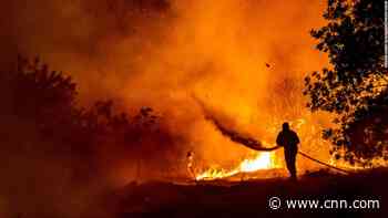 Cyprus wildfires leave at least four dead