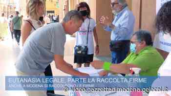 Modena, raccolta firme per l'eutanasia legale - Gazzetta di Modena