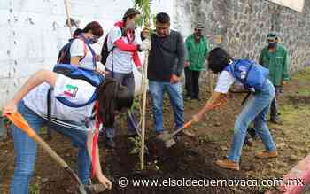 Arranca ayuntamiento 'Programa de Reforestación urbana 2021' - El Sol de Cuernavaca