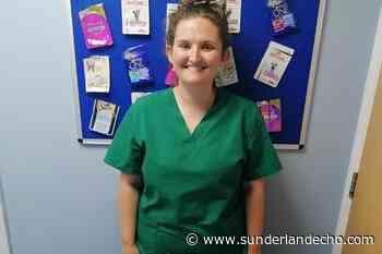 A Houghton veterinary practice launches innovative cat food pouch recycling scheme - Sunderland Echo