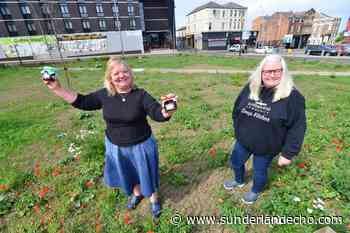New outdoor street food and small business market to launch in Sunderland - Sunderland Echo