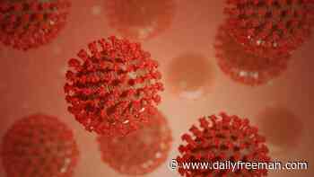 Dutchess County coronavirus cases rise by one - The Daily Freeman