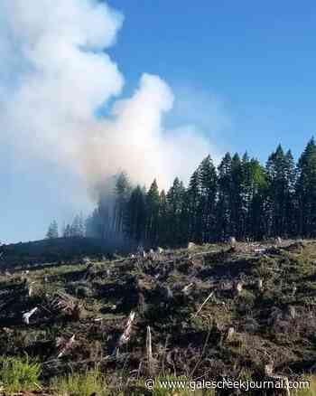 Small wildfire under control in the Tillamook State Forest - Gales Creek Journal