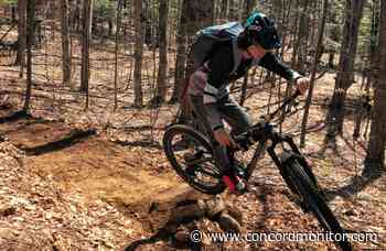 Concord expands recreation network with two new trails located in Knowlton Forest - Concord Monitor