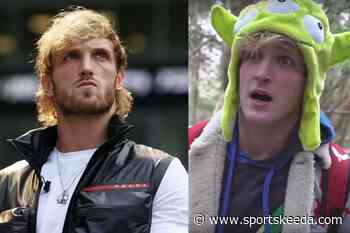 YouTuber alleges that the Logan Paul - Suicide Forest video was a hoax - Sportskeeda