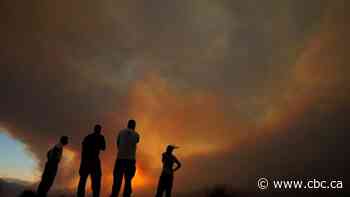 Countries send help to fight huge forest fire in Cyprus - CBC.ca
