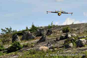 Five new forest fires discovered in Northwest - Tbnewswatch.com