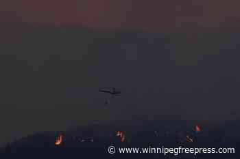 Cyprus asks EU, Israel for help fighting huge forest fire - Winnipeg Free Press