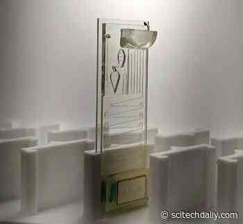 New COVID-19 Test Distinguishes SARS-CoV-2 From Other Coronaviruses With 100% Accuracy