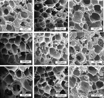 Turning Plastic Into Foam to Combat Pollution: New Method to Reuse Previously Nonrecyclable Plastic