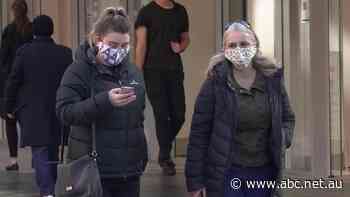 Social restrictions eased in SA with no COVID-19 community transmission, but border closures remain