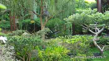 Visite du jardin zen de Courdimanche Jardin zen - Unidivers
