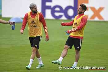 Verheyen fileert keuzes Martinez: &quot;Hij ligt in de onderste schuif, als er tenminste nog een schuif is voor hem&quot;