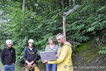 De bruggen zijn er, maar eekhoorns weten de Binkomstraat nog niet te overbruggen