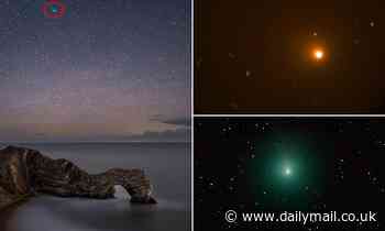 Bright green comet found to contain 'abnormally high' levels of ALCOHOL 