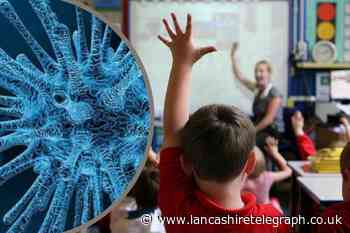 Should schools close earlier this summer after an increase in children being sent home due to Covid?