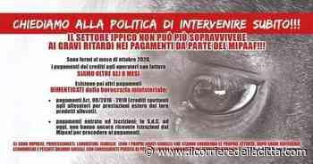 Ippica, il pagamento dei premi è fermo ad ottobre 2020 - Il Corriere della Città