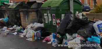 UIL Pensionati Ascoli e Fermo : "Sulla Tari urgente un confronto" - CronacheMarche