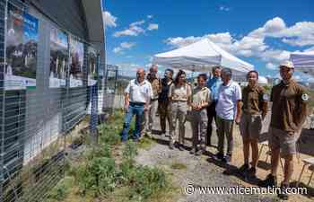 Les visiteurs font n’importe quoi dans le parc naturel régional des Préalpes d’Azur... Les autorités les rappellent à l'ordre
