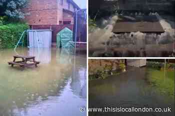 Borehamwood gardens suffering from sewage flooding