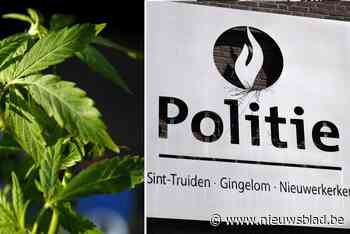 Agente vrijgesproken van betrokkenheid bij drugszaak, wel tuchtonderzoek