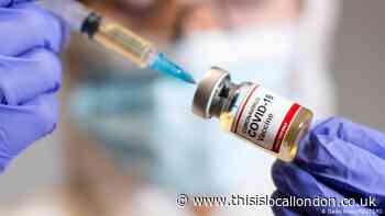 How does the vaccine work