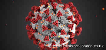 How does the corona virus work